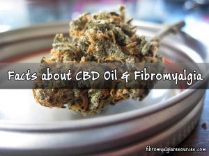 Facts about CBD oil and fibromyalgia