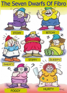 dwarfs of fibro