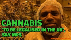 Cannabis 'to be legalised in the UK' , say MPs
